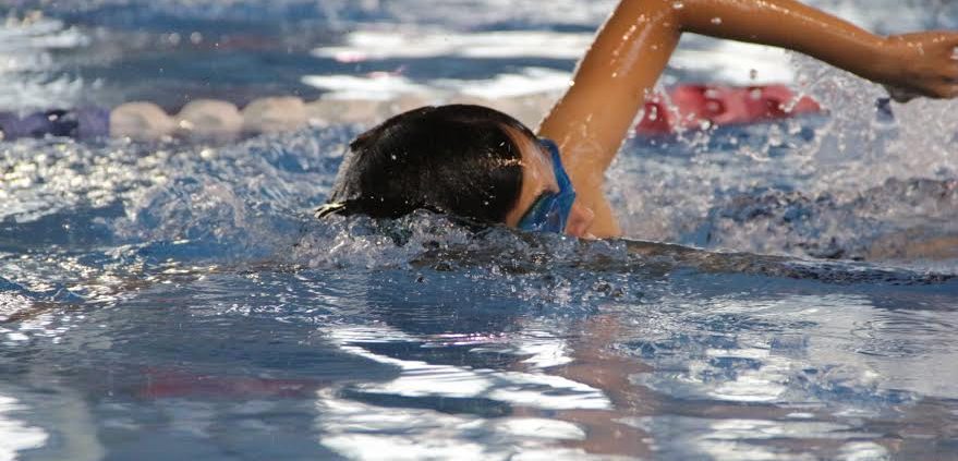 %d7%aa%d7%9e%d7%95%d7%a0%d7%94-%d7%9c%d7%99%d7%9e%d7%95%d7%93-%d7%a9%d7%97%d7%99%d7%94